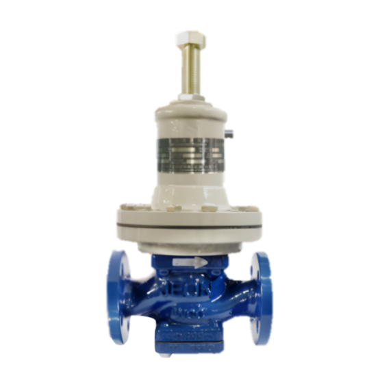 JEON DGX系列调压器